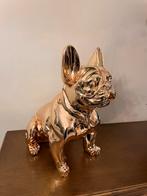 Nieuw!!! Prachtige Franse Bulldog, Verzamelen, Beelden en Beeldjes, Ophalen, Zo goed als nieuw, Fantasy