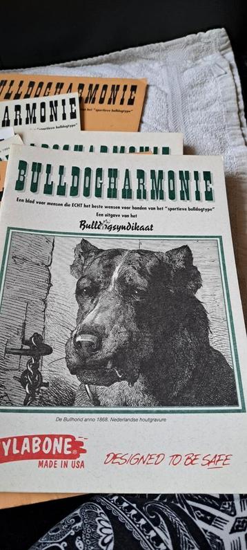 BULDOGHARMONIE beschikbaar voor biedingen