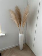 Hoge vaas met pampasgras, Wit, Ophalen of Verzenden, 75 cm of meer, Glas