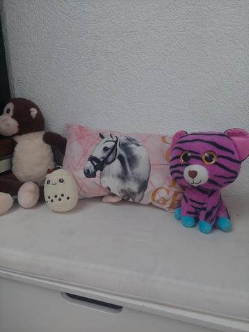 Knuffels en Kussen - Leuke Set! beschikbaar voor biedingen
