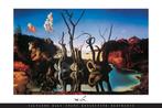 Salvador Dali - Swans Reflecting Elephants - poster, Ophalen of Verzenden