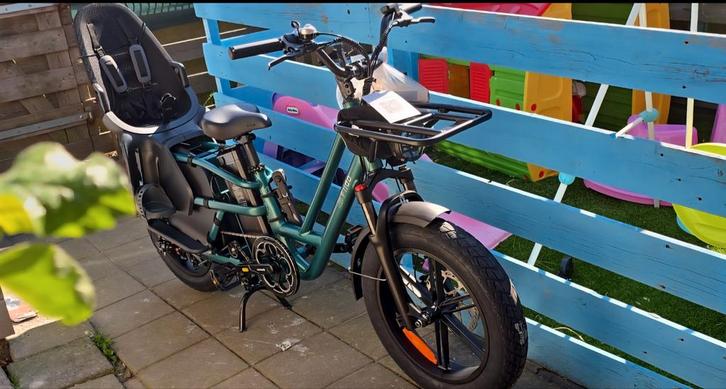Fiido t 2, Fietsen en Brommers, Elektrische fietsen, Zo goed als nieuw, Overige merken, Ophalen