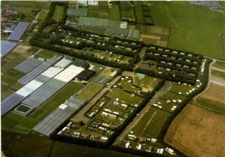 Camping Koningshof, Rijsburg - luchtfoto - 1993 gelopen, Verzamelen, Ansichtkaarten | Nederland, Gelopen, Noord-Brabant, Voor 1920