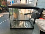 Aquarium superfish 60x40x30, Ophalen, Gebruikt, Leeg aquarium