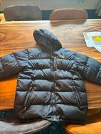 The northface winterjas, Kleding | Heren, Jassen | Winter, Blauw, Ophalen of Verzenden, Gedragen, The North Face