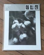 Ikea Trilling posterset van 3, Minder dan 50 cm, 50 tot 75 cm, Nieuw, Ophalen of Verzenden