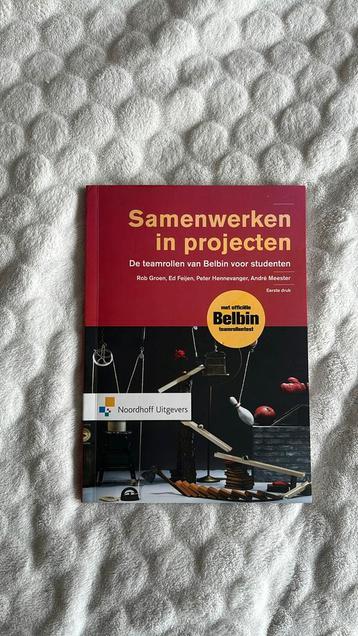 Samenwerken in projecten - de teamrollen van Belbin voor stu beschikbaar voor biedingen