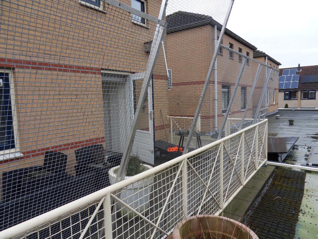 katten honden kippen ren, Dieren en Toebehoren, Katten-accessoires, Zo goed als nieuw, Ophalen