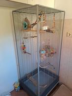 Binnenvoliere compleet met nieuw speelgoed, Dieren en Toebehoren, Vogels | Hokken en Kooien, Ophalen, Zo goed als nieuw, Metaal