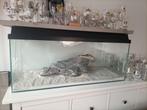 Aquarium incl het zand en de steen die erin ligt, Ophalen, Gebruikt, Leeg aquarium