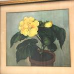 aquarel bloemstilleven jan stokhof, Ophalen of Verzenden