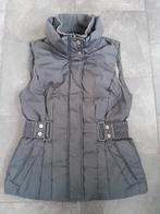 Bodywarmer mt 36 ~ Esprit ~ nieuw, Kleding | Dames, Bodywarmers, Nieuw, Esprit, Ophalen of Verzenden, Maat 36 (S)