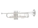 Bach Stradivarius Trompet model  180S37 Verzilverd Opruiming, Ophalen of Verzenden, Nieuw, Bes-trompet, Met koffer