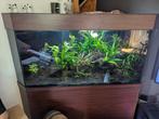 Groot hoek aquarium (ongeveer 400 L), Dieren en Toebehoren, Vissen | Aquaria en Toebehoren, Ophalen, Gebruikt, Leeg aquarium