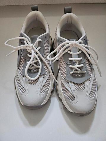 Steve Madden beschikbaar voor biedingen