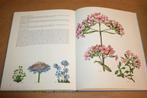 Duits boek - De wondere wereld van geneeskrachtige planten, Ophalen of Verzenden, Gelezen, Kruiden en Alternatief