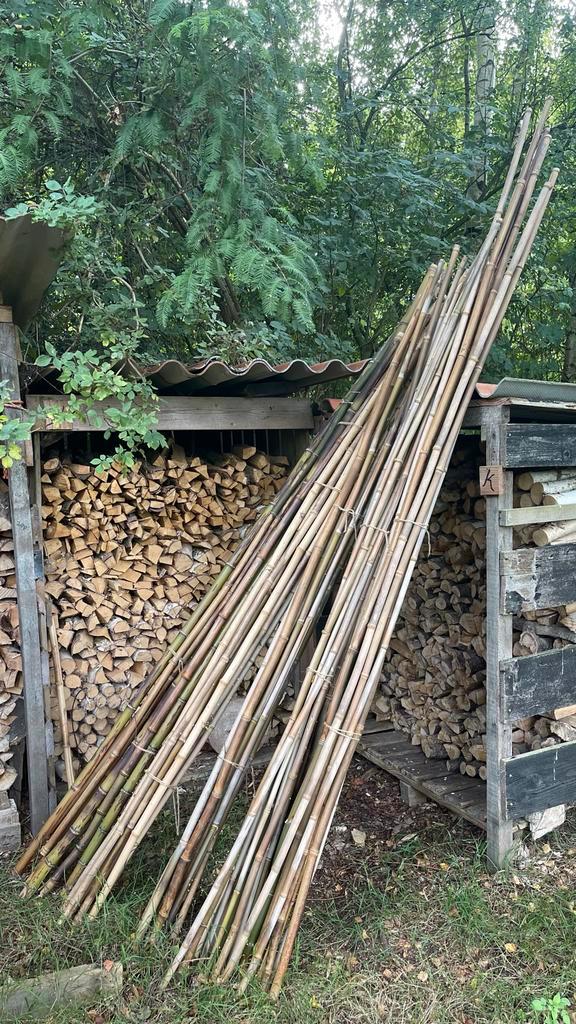 Bamboe Stokken - Bundels, Tuin en Terras, Palen, Balken en Planken, Nieuw, Palen, 250 cm of meer, Ophalen