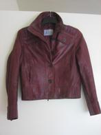 Auberginekleurig kalfsleren jasje van AUTHENTIC 36, snazzeys, Verzenden, Authentic Clothing, Nieuw, Jasje