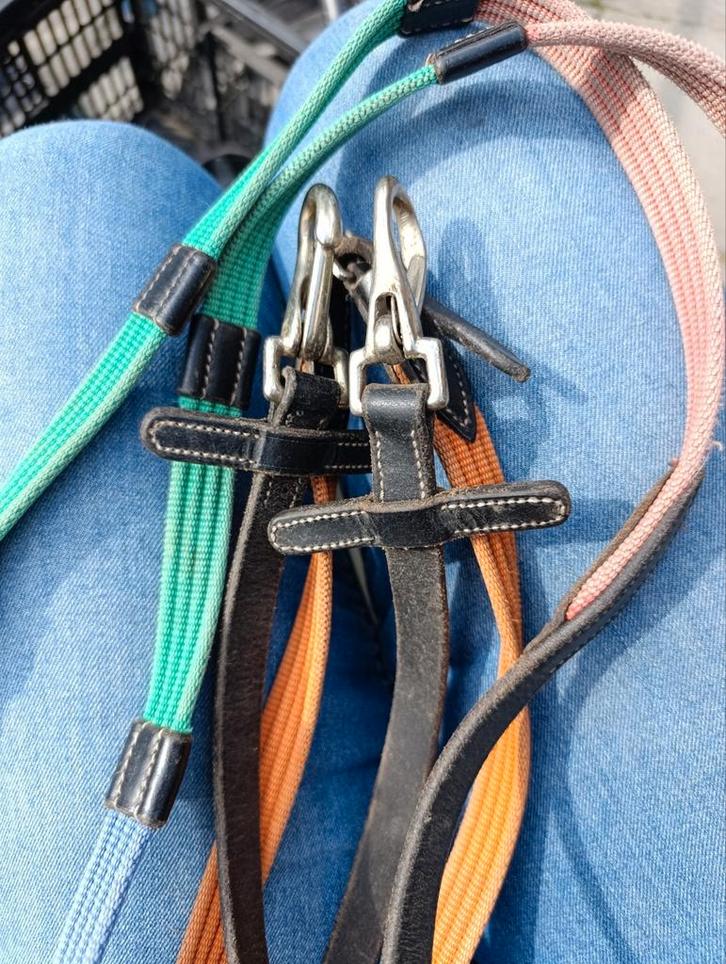 Diverse teugels en bijsetteugels., Dieren en Toebehoren, Paarden en Pony's | Hoofdstellen en Tuigage, Zo goed als nieuw, Ophalen of Verzenden