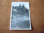 NUNSPEET  >  BOSGEZICHT, Verzamelen, Ansichtkaarten | Nederland, Verzenden, 1940 tot 1960, Gelopen, Gelderland
