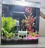 Dennerle aquarium nano cube 30L, Dieren en Toebehoren, Ophalen, Leeg aquarium