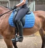 Hulsebos dressuurzadel, Dieren en Toebehoren, Paarden en Pony's | Zadels, Ophalen of Verzenden, Gebruikt, Dressuur