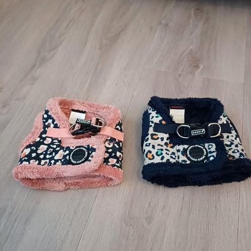 Hondentuigje Puppia rood en blauw 15 euro per stuk, Dieren en Toebehoren, Hondenhalsbanden en Penningen, Zo goed als nieuw, Ophalen of Verzenden