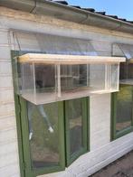 Spoetnik postduiven 6 stuks, Dieren en Toebehoren, Vogels | Duiven, Meerdere dieren, Postduif