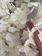 Witte wisteria 120cm, Ophalen of Verzenden, Nieuw