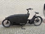 Urban Arrow Family Cargo Line bakfiets 2023/1000Wh/GPS/Belt, Fietsen en Brommers, Fietsen | Bakfietsen, Ophalen, Zo goed als nieuw