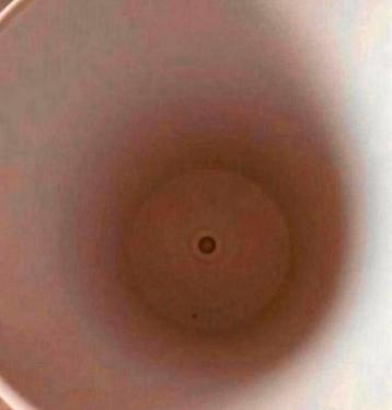 2 Witte Ikea Bloempotten met Waterafvoer beschikbaar voor biedingen