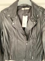 Leder jacket van Sissy Boy maat XS, Zwart, Nieuw, Ophalen of Verzenden, Jasje
