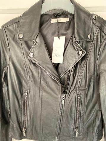 Leder jacket van Sissy Boy maat XS  beschikbaar voor biedingen