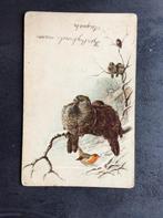 Vogels, Verzamelen, Ansichtkaarten | Dieren, Gelopen, Vogel, Ophalen of Verzenden, 1920 tot 1940