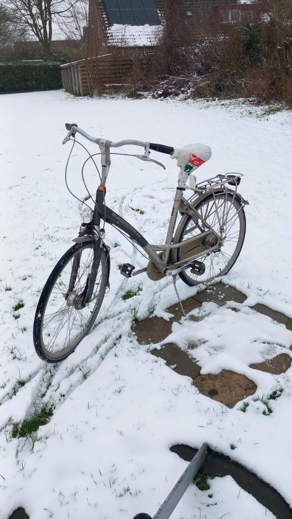 Batavus damesfiets, Fietsen en Brommers, Elektrische fietsen, Gebruikt, Batavus, Ophalen