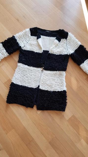 Lekker warm gestreept vest maat 38 beschikbaar voor biedingen