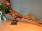 Taxidermie prachtige opgezette Fazant, Verzamelen, Dierenverzamelingen, Ophalen, Gebruikt, Vogel, Opgezet dier