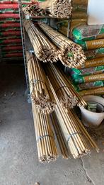 Bamboe/ bonenstokken, Ophalen, Bloeit niet, Overige soorten, Halfschaduw