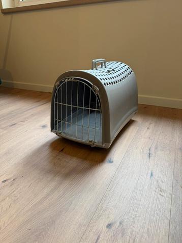 Reismand kat beschikbaar voor biedingen