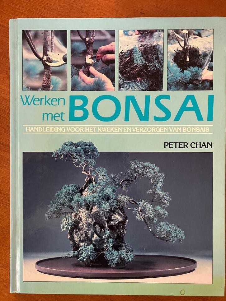Werken met bonsai - Peter Chan, Boeken, Wonen en Tuinieren, Gelezen, Tuinieren en Tuinplanten, Verzenden