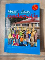 Meer dan onderwijs (pabo studieboek), Ophalen of Verzenden, Zo goed als nieuw, HBO