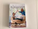De gelukspiramide, Wildervanck en Albarda, Ophalen of Verzenden, Zo goed als nieuw, Instructieboek