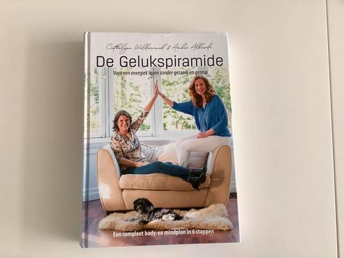 De gelukspiramide, Wildervanck en Albarda, Boeken, Esoterie en Spiritualiteit, Zo goed als nieuw, Instructieboek, Ophalen of Verzenden