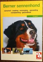 Berner sennenhond, Ophalen of Verzenden, Zo goed als nieuw, Honden