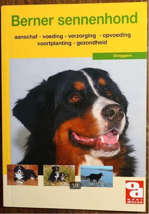 Berner sennenhond, Boeken, Dieren en Huisdieren, Zo goed als nieuw, Honden, Ophalen of Verzenden
