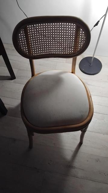 Rotan Eetkamerstoel met Kussen beschikbaar voor biedingen