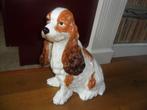 Beeld Cocker spaniel (45 cm), Verzamelen, Beelden en Beeldjes, Ophalen, Zo goed als nieuw, Dier