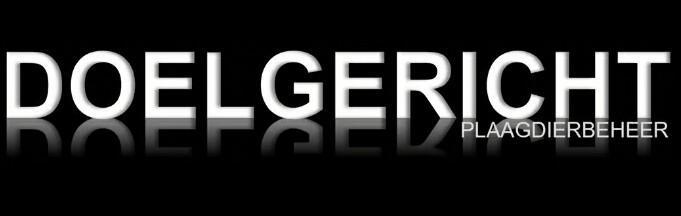 Rattenbestrijding Bladel/Reuel/Eersel/Bergeijk, Diensten en Vakmensen, Ongediertebestrijding, Muizen of Ratten