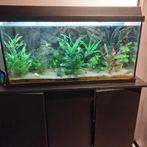 Mooi jewel aquarium 110 liter, Verzenden, Gebruikt, Gevuld zoetwateraquarium