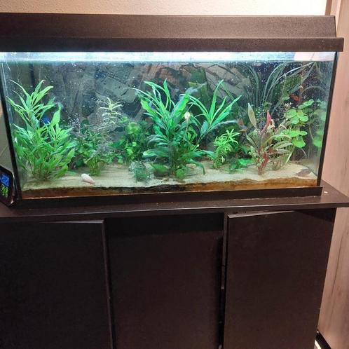 Mooi jewel aquarium 110 liter, Dieren en Toebehoren, Vissen | Aquaria en Toebehoren, Gebruikt, Gevuld zoetwateraquarium, Verzenden